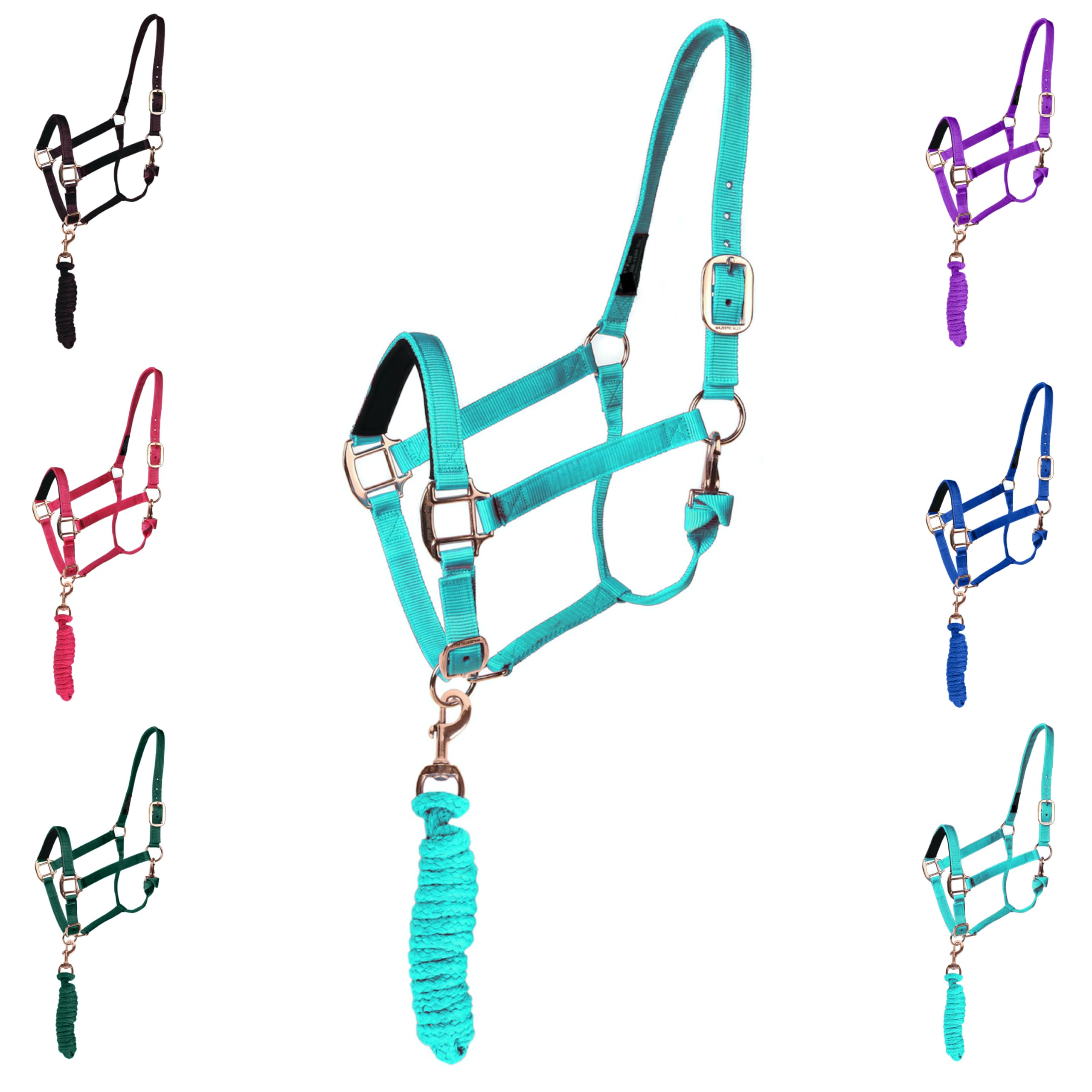 Majestic Ally HeadCollar Halter with Matching Lead Rope for Horses–Adjustable Chin and Crown–Rolled Throat Latch with Replaceable Snap–Padded Noseband–Heavy Duty Hardware–Full (Turquoise, Full)