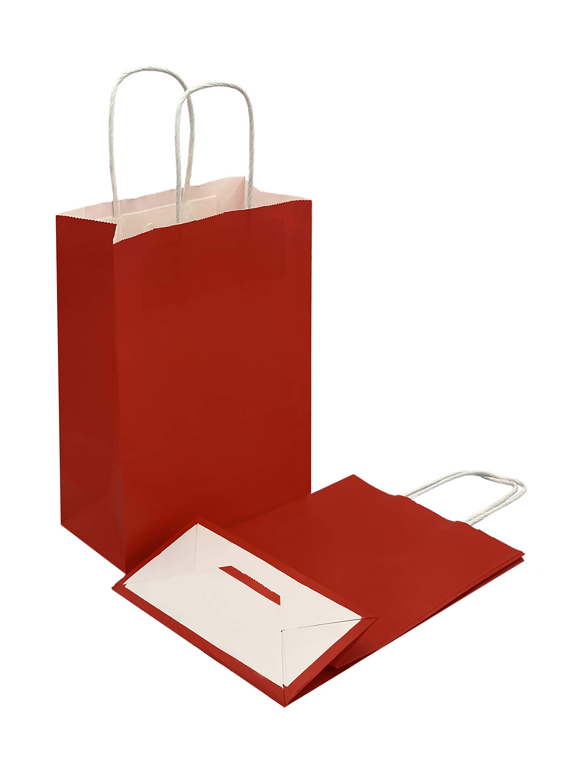 Pack of 6 Vertical Paper Gift Bags Plain Colour 22 x 16 x 8 cm (Red)