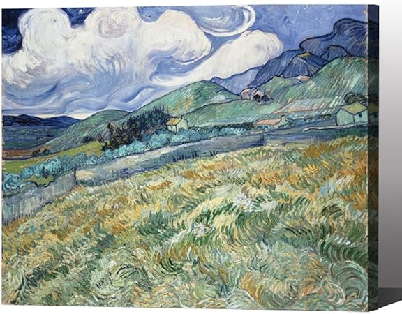 amazon paint by numbers van gogh