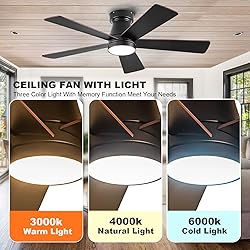 Ceiling Fans with Lights, 42 inch Low Profile