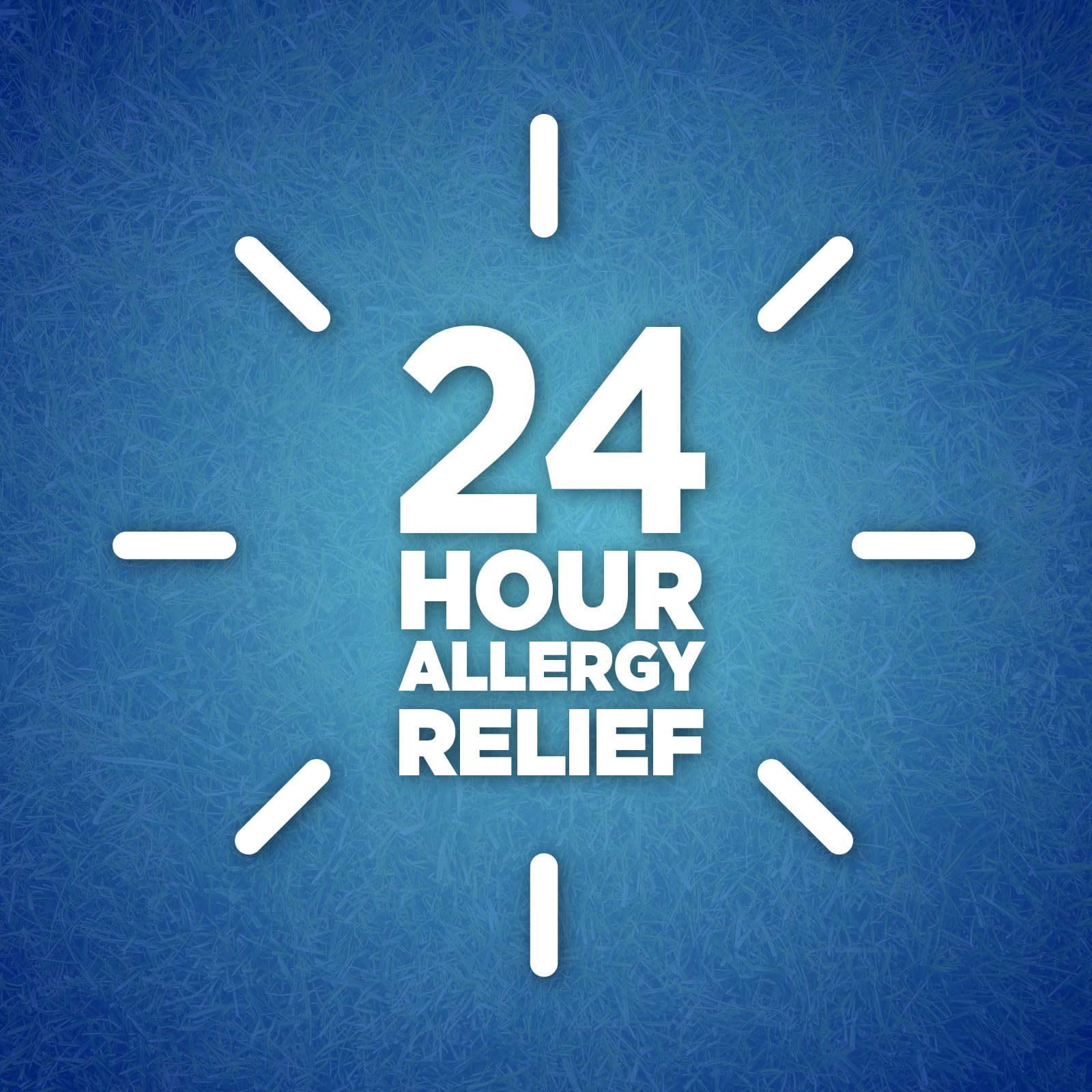 Berkley Jensen 24 Hour Non-Drowsy Allergy Relief, 365 Count (Compare to Claritin)