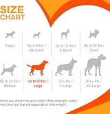 Nylabone Durable Power Dental Dog Chew Toys Twin Pack Large Beef Jerky & Chicken view 5