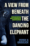 A View from Beneath the Dancing Elephant: Rediscovering IBM's Corporate Constitution