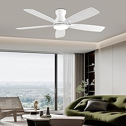NKPU 52inch Ceiling Fans with Lights, Low Profile
