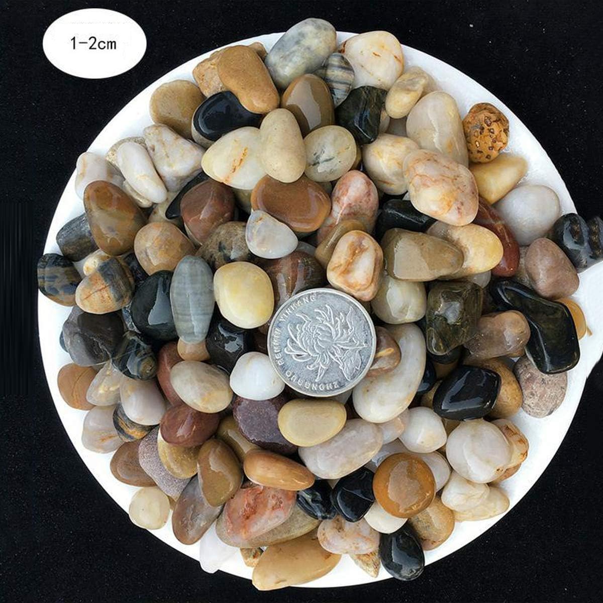 Aquarium Grind Rivier Rock Kleine Decoratieve Erwten Grind Natuurlijke Gemengde Kleur Stenen Voor Planten Aquarium Landschapsarchitectuur Vaas Vulstoffen Filter Materiaal Size 1 2cm 5kg Amazon Nl