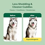 Earth Rated 3-in-1 Deshedding Dog Shampoo 473 ml White Tea Basil view 2
