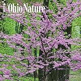 Ohio Nature 2017 Square by 