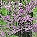 Ohio Nature 2017 Square by 