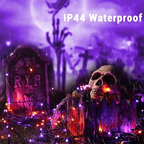 Brizled Purple & Orange Halloween Lights, 95.14ft 240 LED