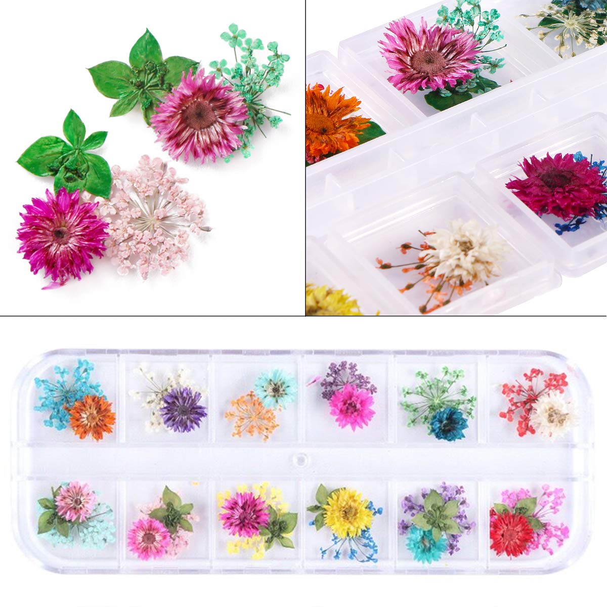 2 Boxes Dried Flowers for Nail Art, KISSBUTY 24 Colors Dry Flowers Mini Real Natural Flowers Nail Art Supplies 3D Applique Nail Decoration Sticker for Tips Manicure Decor (Gypsophila Flowers Leaves): Beauty