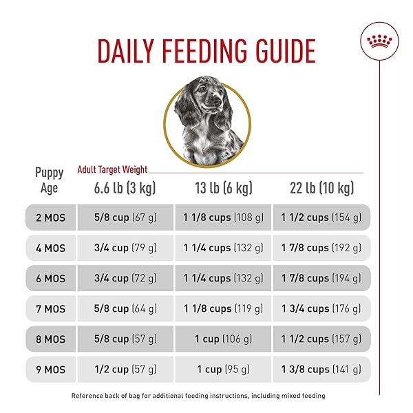 ROYAL CANIN BREED HEALTH NUTRITION DACHSHUND PUPPY DRY DOG FOOD, 2.5 LB BAG