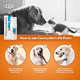 ICF CLX 4% Foam Mousse Dry Shampoo for Dogs & Cats 100 ml view 3
