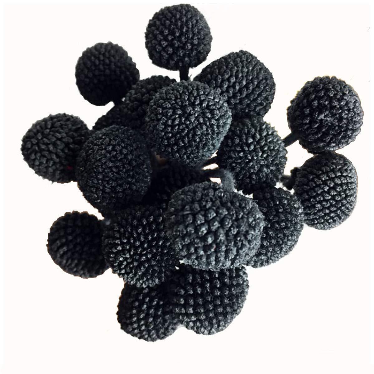 INVISIKAYAK Craspedia globosa Material Flower Immortal Eternal Flowers Gift (black, 40pcs)