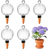 DI QIU REN 6 Pack 19oz Large Self Watering Globes, Automatic Plant Waterer with Glass Stopper - Slow Release Bulbs &amp; Planter Insert, Top-Fill Water Spikes for Indoor Plants (6, Clear)