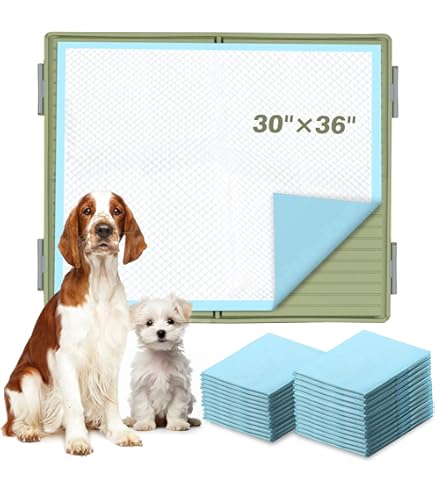 Dog Potty Dog Pee Pads TidyFriend Pee Pad Holder Tray 30 X 23
