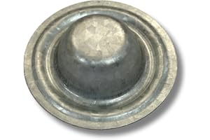 Metal Screw Caps from EAGLE 1 - Seals Over Existing Screws Heads to Prevent leaks- Easy to Install-Gloves Included (250)