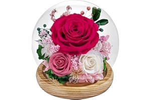 COOEACH Preserved Roses Forever Flowers in Glass - Birthday Gifts for Women Mom, Real Flowers for Delivery Prime | Rose Gift for Grandma Wife Sister Friend (Mix Fuchsia)