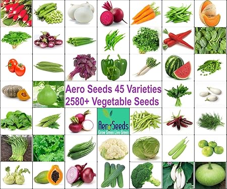 Aero Seeds Vegetable Seeds Bank For Home Garden 45 Varieties - 2580+ Seeds