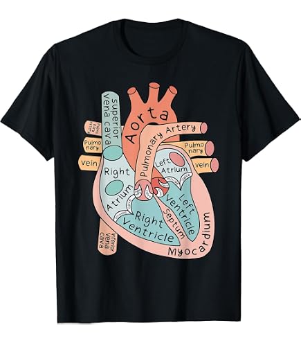 Amazon.com: Anatomical Human Heart Medical Anatomy Vintage T-Shirt