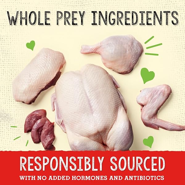 STELLA & CHEWY’S FREEZE-DRIED RAW CAGE-FREE DUCK MEAL MIXER SUPERBLENDS GRAIN-FREE DOG FOOD TOPPER, 16 OZ. BAG, FREEZE-DRIED RAW MEAL MIXER SUPERBLENDS