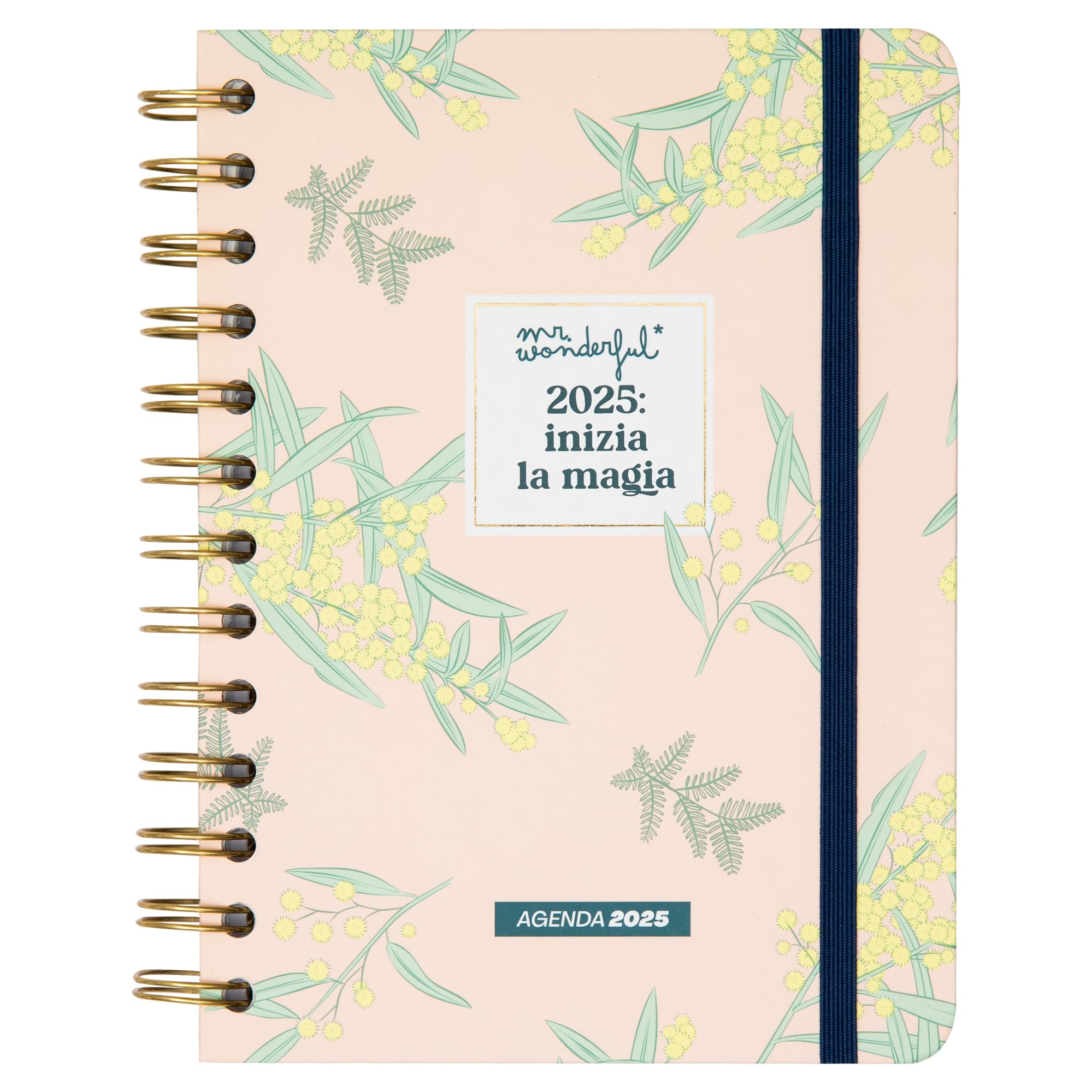 Mr. Wonderful 2025 Small Weekly Office Diary – Start the Magic – Includes 8 Sheets of Stickers and Motivational Daily Phrases