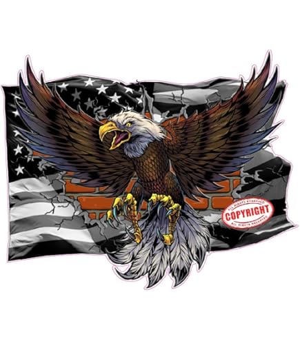 Amazon.com: Bald Eagle American Flag Eagle Wings 8