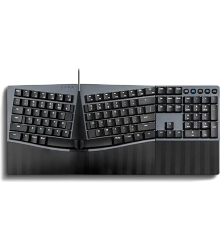 Amazon.com: Microsoft Wired Natural Ergonomic Keyboard 4000