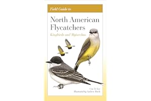 Field Guide to North American Flycatchers: Kingbirds and Myiarchus