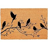 Funny Entryway Outdoor with Heavy Duty Front Porch Patio Welcome Natural Coir Door Mat Novelty House Warming Gift Mat 23.7 x 