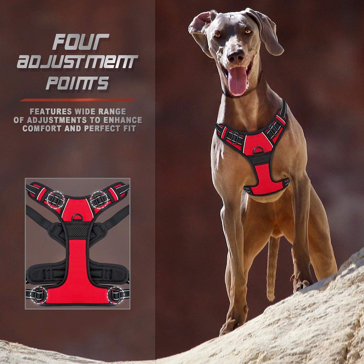 BARKBAY No Pull Dog Harness Front Clip Heavy Duty Reflective Easy Control Handle for Large Dog Walking(Red,XL) - Image 4