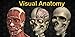Visual Anatomy