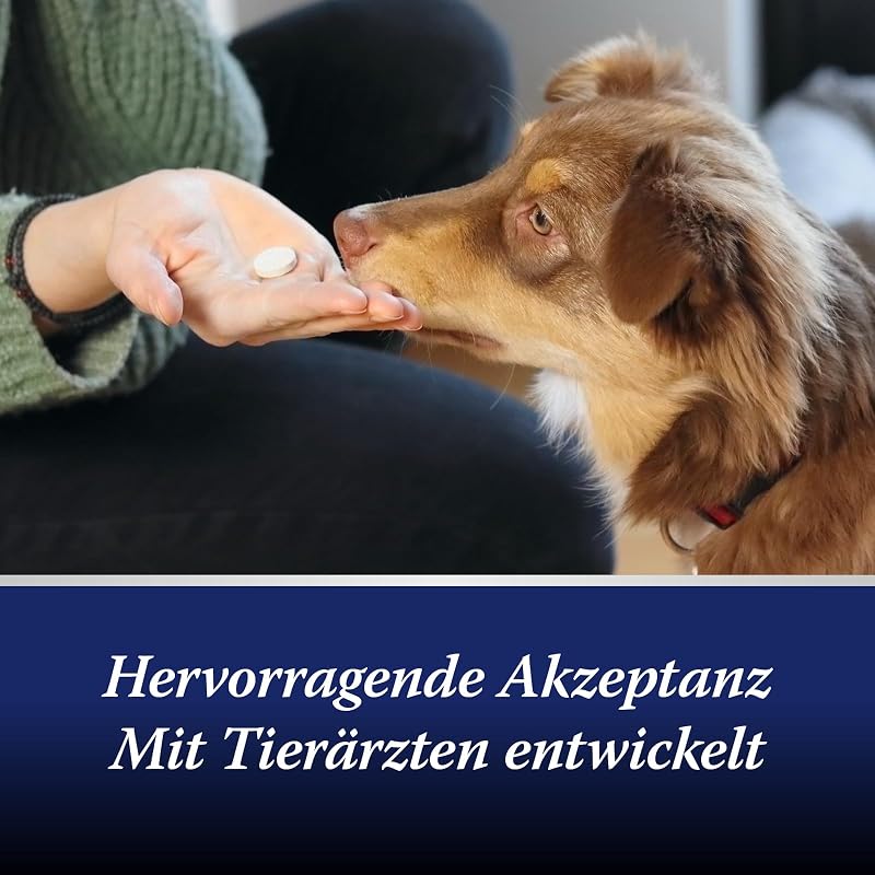 Darmflora Hund - 30 Tabletten