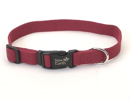 what can 7 week old puppies eat