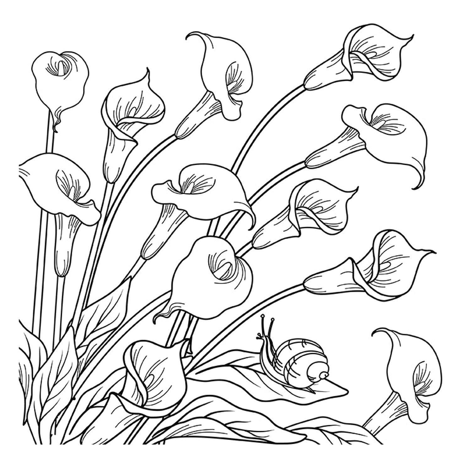 Honsell 12138 Stretcher Frame with Calla, Size 30 x 30 cm, pre-Printed Motif Acrylic, Watercolour and Oil Paints and Felt and Coloured Pencils, White