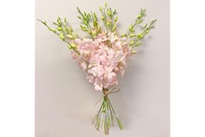 ATHENA'S GARDEN Athena’s Garden Fresh Cut Pink Orchids 10 Stems peachy Dendrobium Orchid Flowers