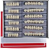 168 Pieces False Teeth Dental Complete Acrylic Resin Denture Teeth, 6 Sets Whole Teeth Synthetic Polymer Denture Tooth, 23 Sh