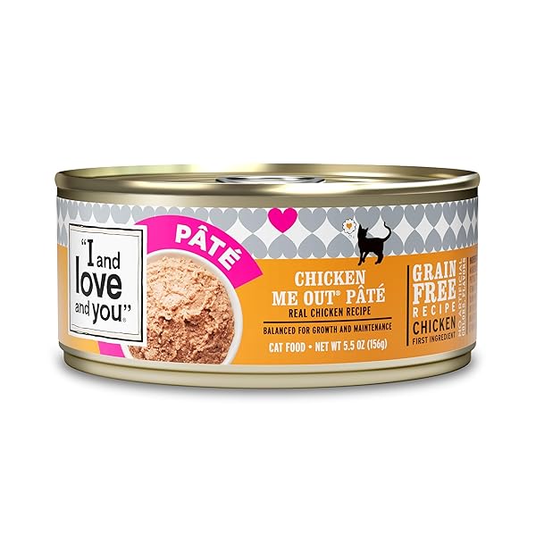 I AND LOVE AND YOU WET CAT FOOD...