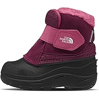 THE NORTH FACE 幼児用Alpenglow II 断熱スノーブーツ The North Face Alpenglow II Boots - Toddler – The Backpacker