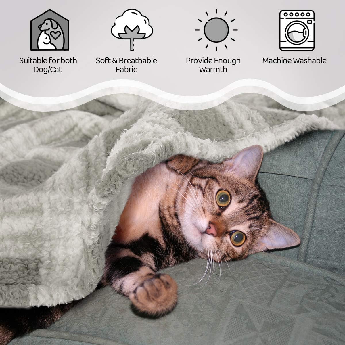 Queenmore Fleece Pet Blankets Fluffy Cat Dog Blankets for Small Medium Dogs Cats Sherpa Fleece Blanket for Pets Puppies Furniture Protection Machine Washable 32" x 40" Beige: Kitchen & Dining