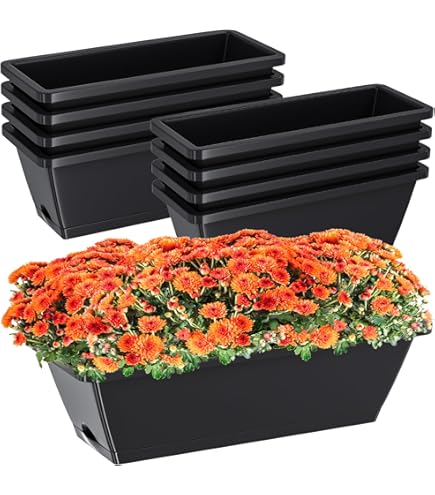 Amazon.com : LOCONHA Window Box Planter, Plastic Vegetable Flower Planters  Boxes 17 Inches Rectangular Flower Pots with Saucers for Indoor Outdoor  Garden, Patio, Home Decor (7, Dark Grey) : Patio, Lawn & Garden