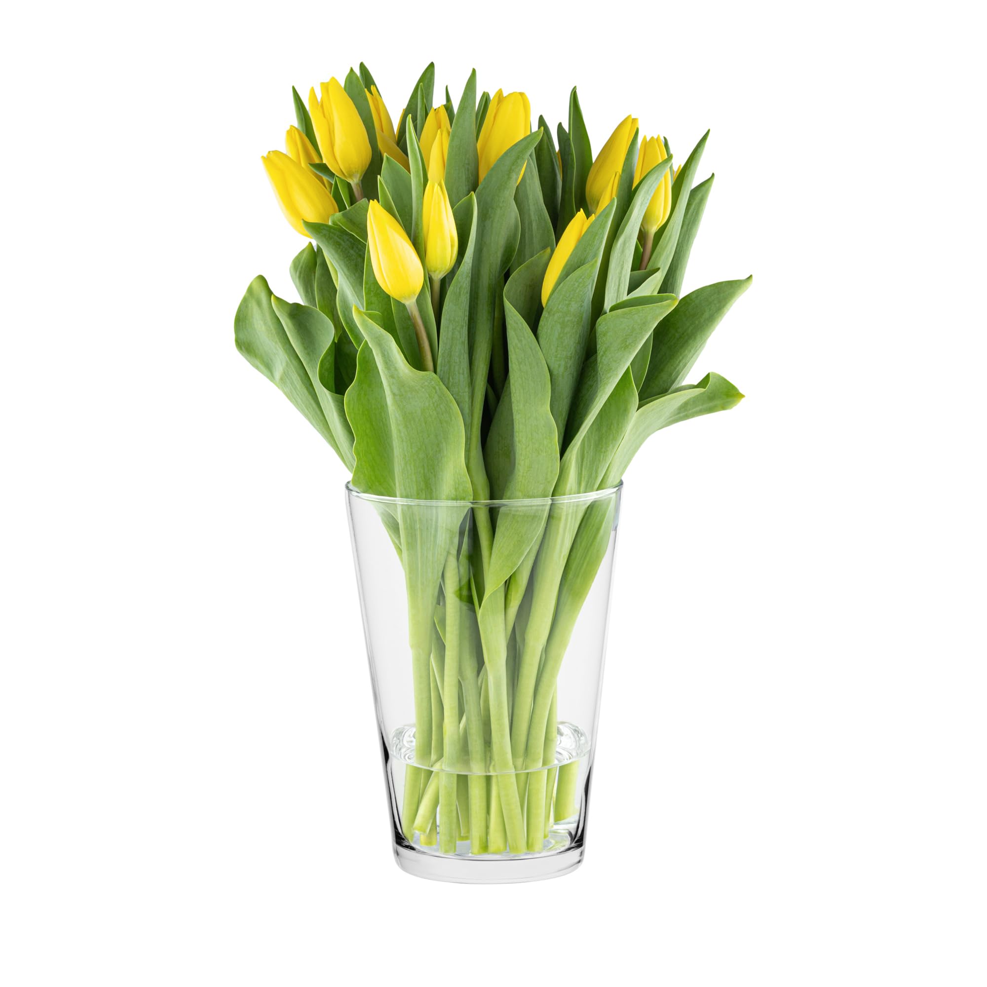 TREND FOR HOME Wide Vase for Flowers 19.5 cm Big Vase Wide Vase Large Glass Vases for Flowers Glass Vase for Candles Wide Neck Vase Tulip Vase Round Glass Vase for Daffodils | ⌀ 14.2 cm | Alyssa