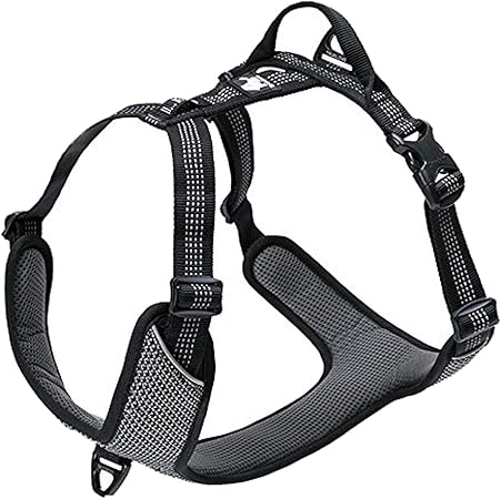 true love harness amazon