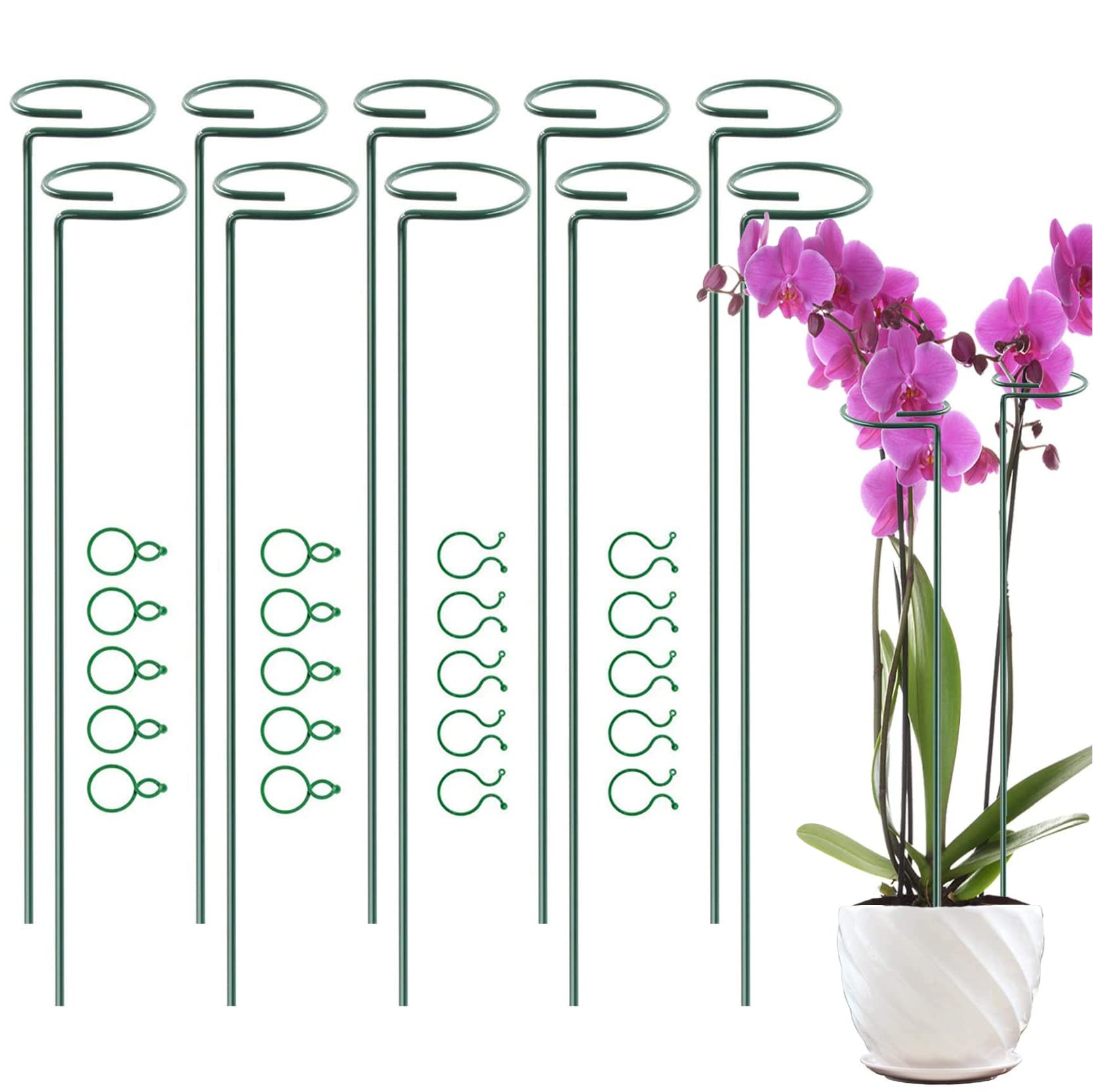 POTWPOT Plant Support Stakes, 10pcs 40cm Single Stem Plant Supports for Garden Metal Plant Support Ring cage with 30Pieces Plant Clips for Garden Flower Orchid Rose Lily Peony Monstera Iris Tomato