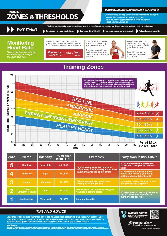 Training Zones & Thresholds, mehrfarbig
