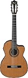 Ibanez 6 String Classical Guitar, Right, Natural