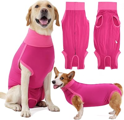 HEYWEAN Dog Recovery Suit Post Op Bodysuit for Neutering Spay Recovery
