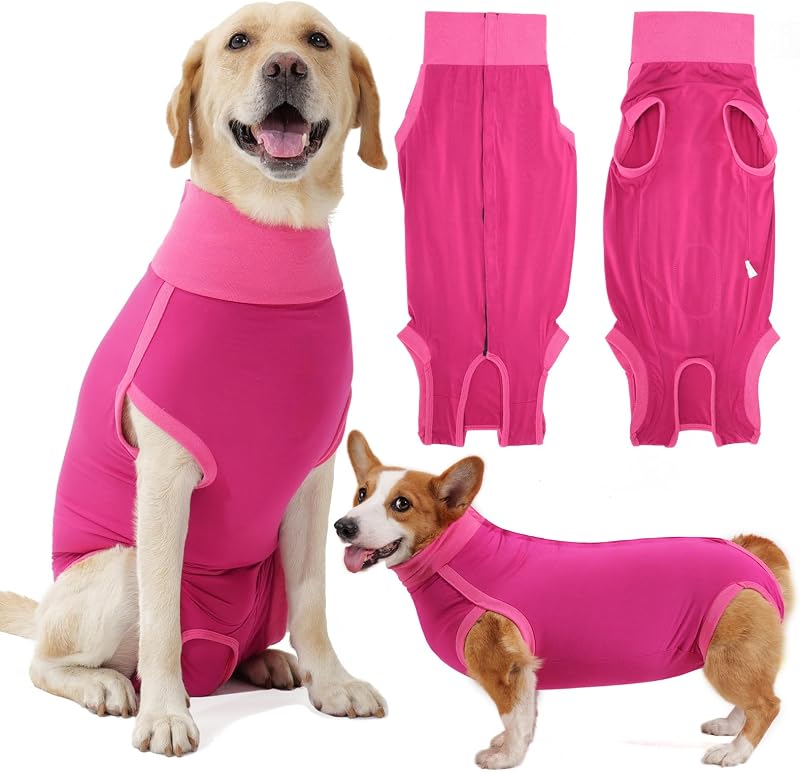 HEYWEAN Dog Recovery Suit Post Op Bodysuit for Neutering Spay Recovery