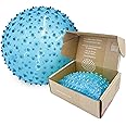 Edushape Sensory Ball for Baby - 7” Transparent Primary Color Baby Ball that Helps Enhance Gross Motor Skills for Kids Aged 6 Months & Up - Pack of 1 Vibrant Colorful and Unique Textured Ball for Baby