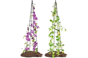 OTOSUNNY Garden Trellis for Climbing Plants, 67" Tall Metal Outdoor Indoor Obelisk Plant Support for Vegetable|Flower|Vine Potted Plants, Cucumber Trellis, Lightweight, 2 Pack