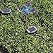 Sunnydaze Outdoor Solar Garden Lights, 6 Pack Solar Powered Stake LED Pathway Lights, Decorative Butterfly Dragonfly Hummingbird, Multi-Color